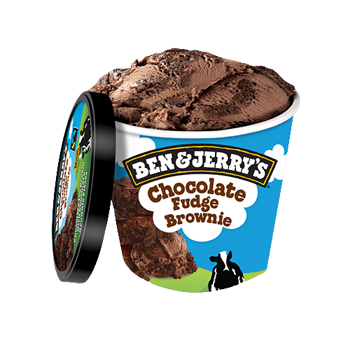 Ben & Jerry's Chocolate Fudge Brownie 100ml