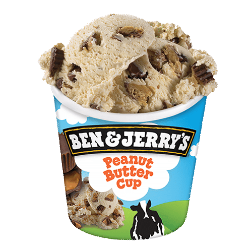 Peanut Butter Cup 465ml