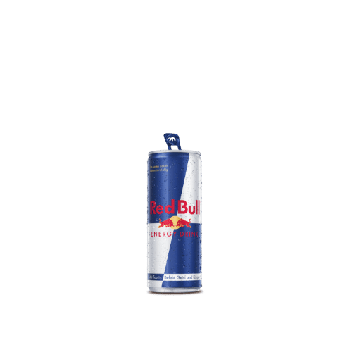 Red Bull 0,25l (Einweg)
