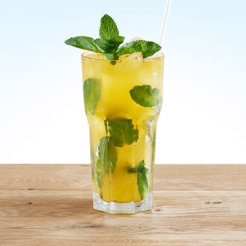 Durstlöscher Mango-Minze 0,5l