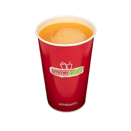Ingwer-Orange 0,4l