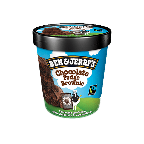 Chocolate Fudge Brownie 465ml