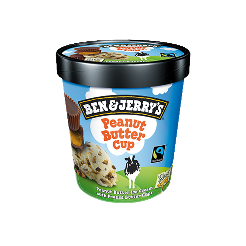 Peanut Butter Cup 465mll