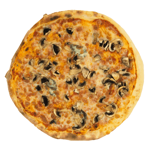 Pizza Funghi