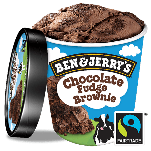 Chocolate Fudge Brownie 465 ml