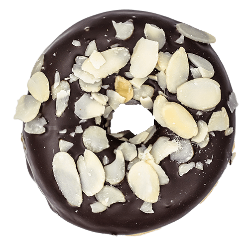 Almond Choc Donut (vegan)