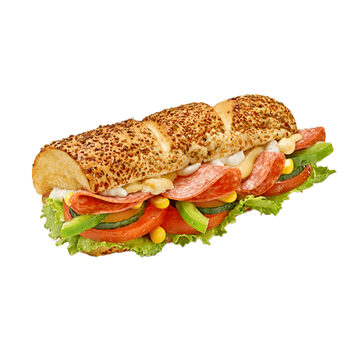 Salami Sub