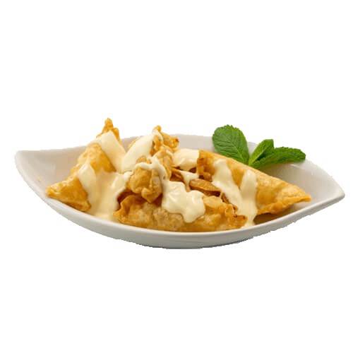 Gyoza Apfel