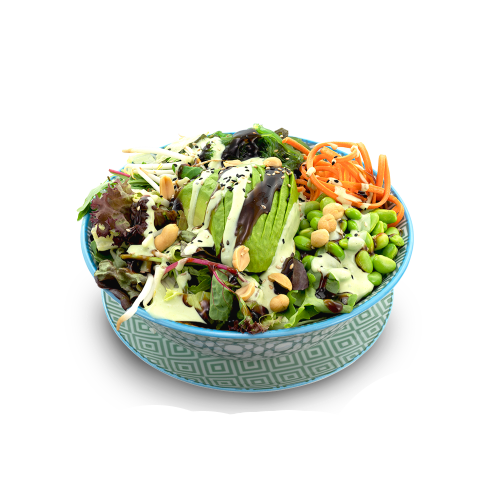 Yoko Poke Bowl Veggi