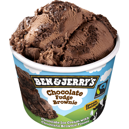 Ben & Jerry's Chocolate Fudge Brownie 100ml