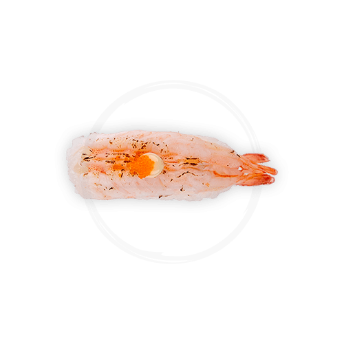 Flamed ebi nigiri