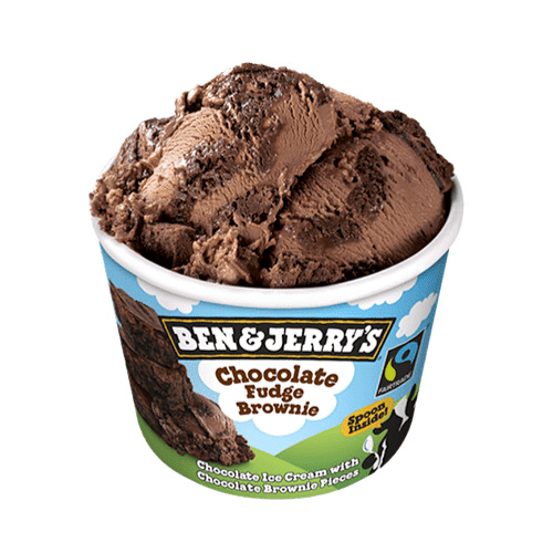 Ben & Jerry's Chocolate Fudge Brownie 100ml