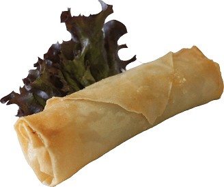 Springroll vega
