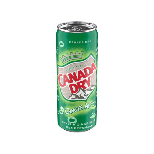 Canada Dry Ginger Ale Bruisend 33Cl