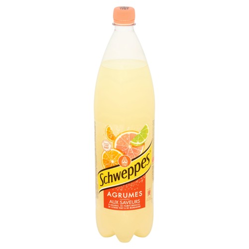 Oasis Tropical