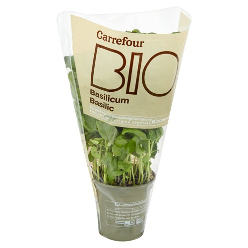 Filière Qualité Carrefour Bio Basilic en pot