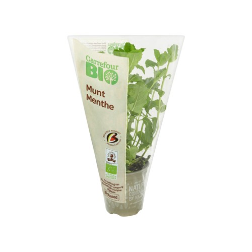Carrefour BIO Menthe en pot