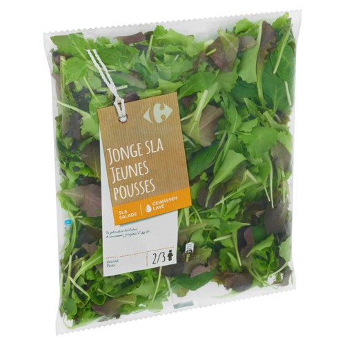 Carrefour Jeunes Pousses 110 g