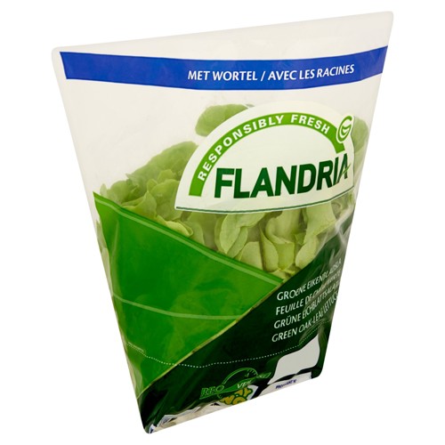 Eikenbladsla Groen