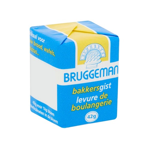 BRUGGEMAN VERSE GIST 42G