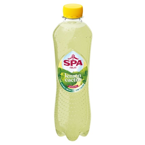 SPA Fruit Limonade pétillante aux fruits Citron Cactus 40 cl