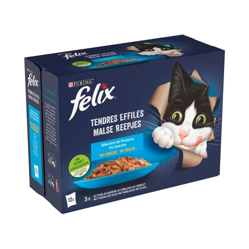 Felix Aliment Chat Tendres Effilés Sélection de Poissons en Gelée 12x85g