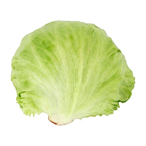 Salade Iceberg Vrac