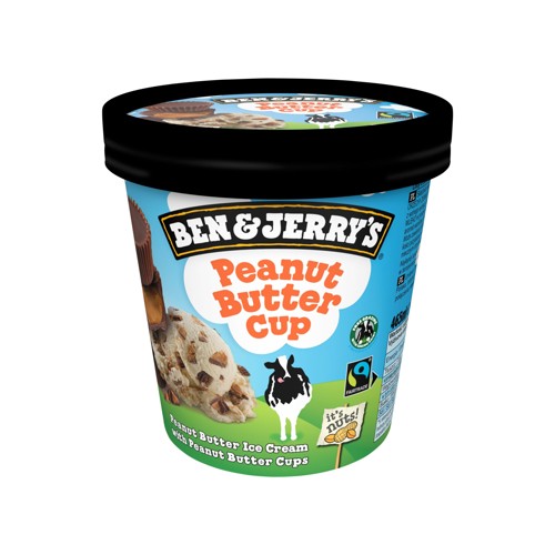 Ben and Jerry's Peanut Butter Cup 425ml