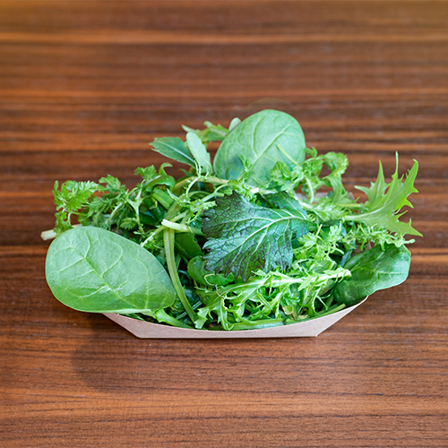 Wildkräutersalat