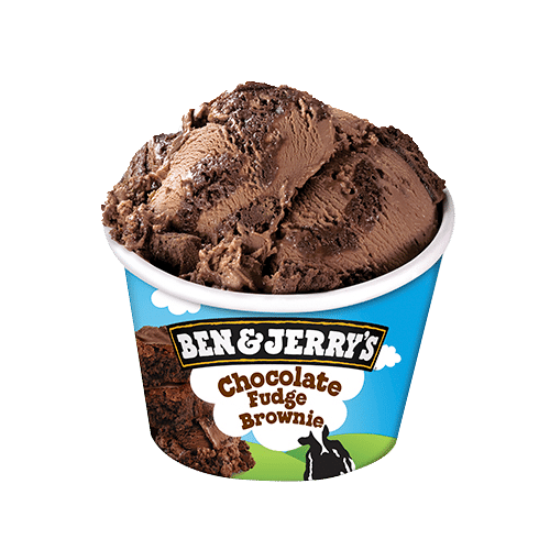Ben & Jerry's Chocolate Fudge Brownie 100ml