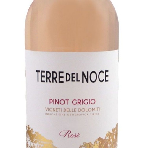 Bottle Terre del Noce, Pinot Grigio (75cl) Italy