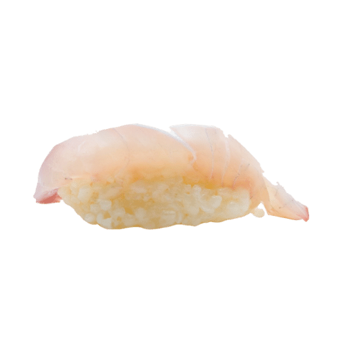 Sushi daurade