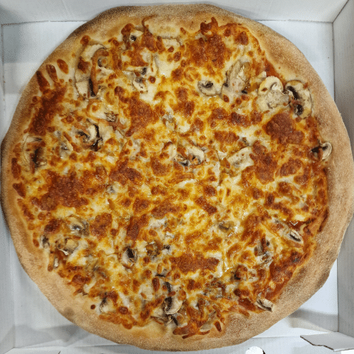 Funghi