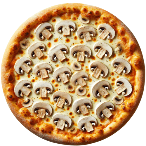 Funghi