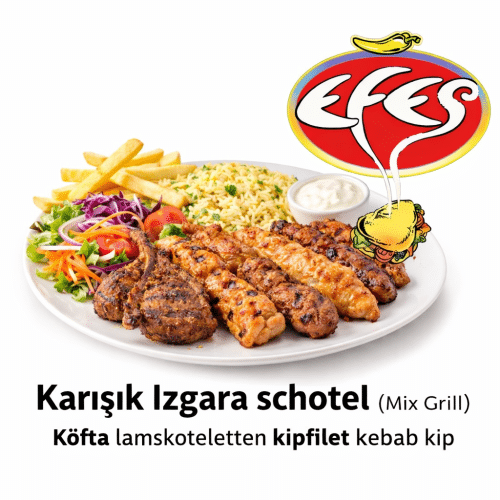Karisik izgara schotel( mix grill )