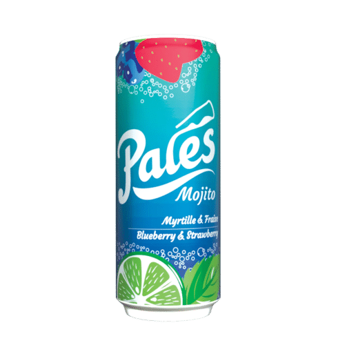 N I E U W - Pales Mojito Frutti