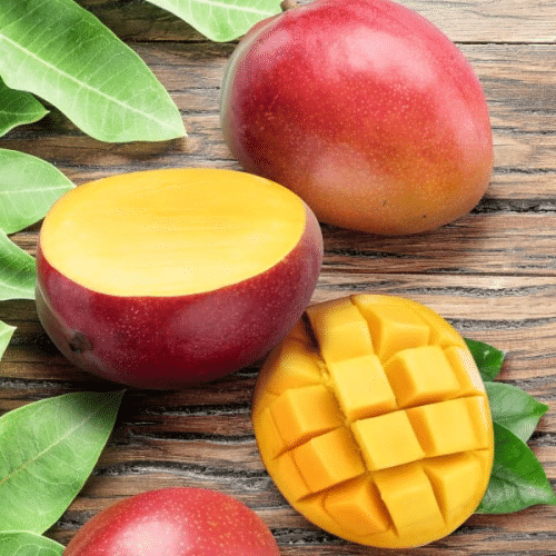 Mangue fraîche