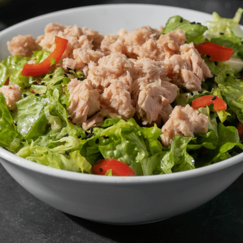 Gemengde salade met tonijn