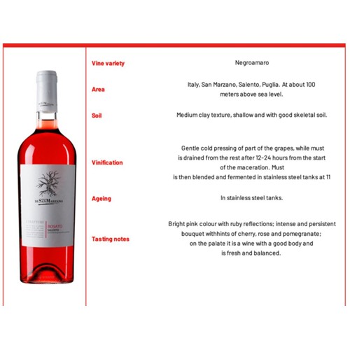 Rosé House Wine - Bottle