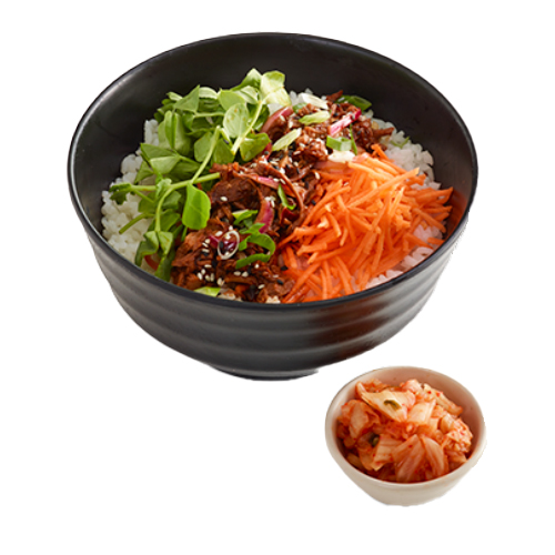 Teriyaki donburi beef