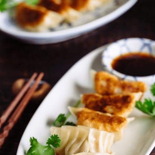 Gyoza kip en groenten
