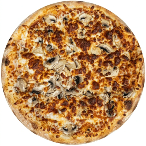 Funghi