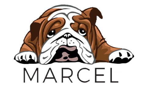 Marcel Burger Bar - Marcel Burger Bar Ixelles