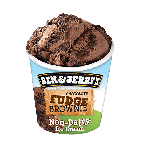 Ben & jerry's ( chocolate fudge brownie NON DAIRY )465ml