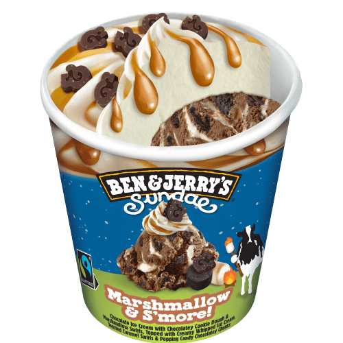 Ben & Jerry's chocolade fudge XL