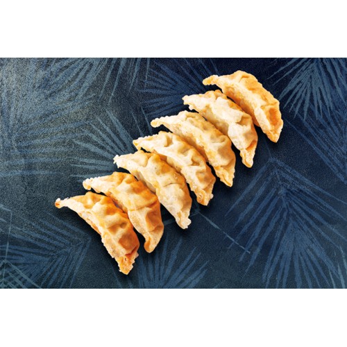 BIG GYOZAS POULET LEGUMES - 7PCS