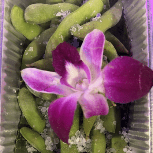 Edamame bonen (salt)