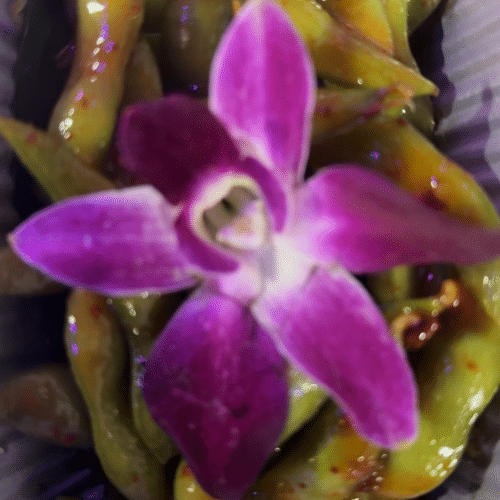 Edamame bonen (spicy)