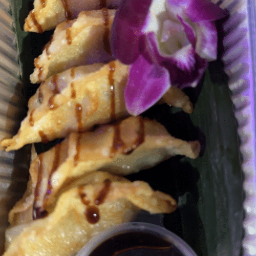 Gyoza kip gefrituurd