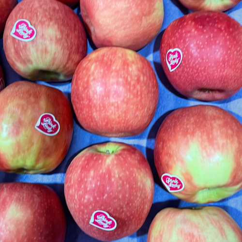 pink lady apple